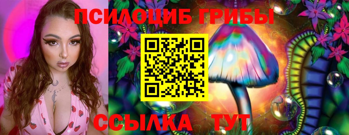 Галлюциногенные грибы Psilocybe  Вход с VPN  Коломна 