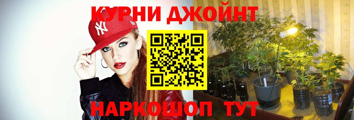 Бошки Шишки план Коломна